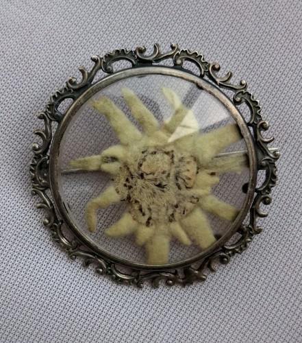 Antike jugendstil edelweiss - antike,