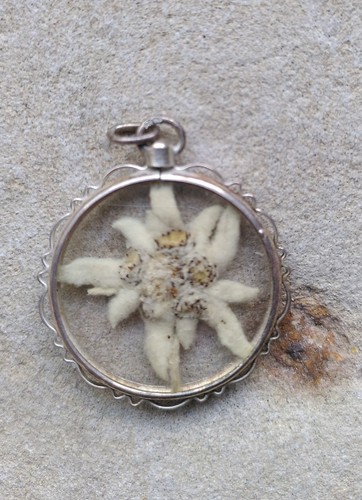 Großer edelweiss anhänger - großer,